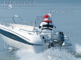 Извънбордов мотор за лодка Yamaha F25D
