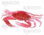Резервен силиконов рак брокат за риболов на октоподи