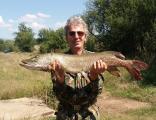 Other, 	Northern pike